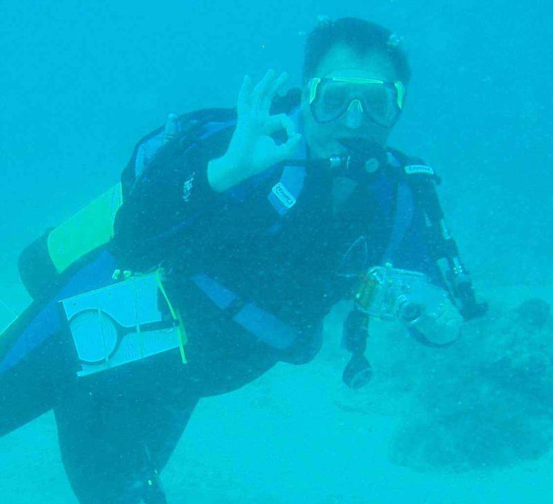 Counting Fish in the Dry Tortugas