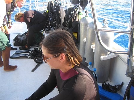 Cozumel Diving