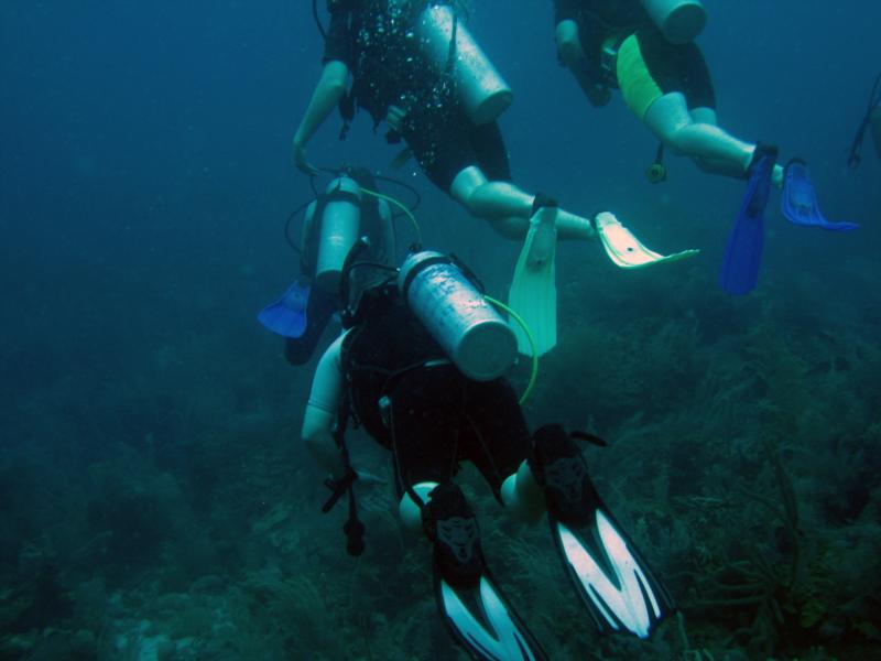 Following the group in Belize