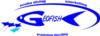 Geofish Dive