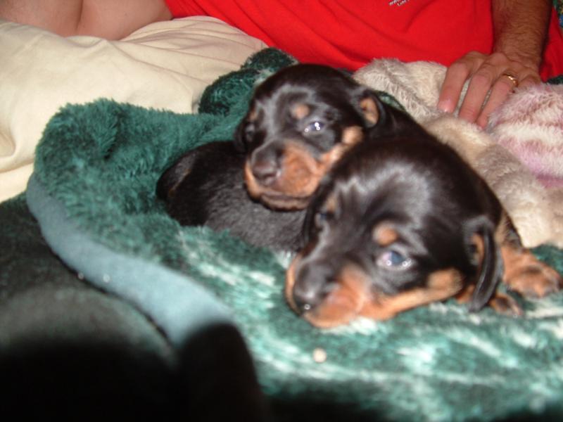 our new baby’s
