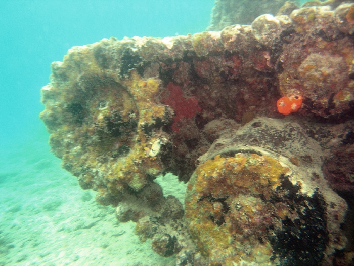 Japanese tank found off Rabaul, PNG