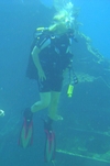  wreck diving in Egypt.