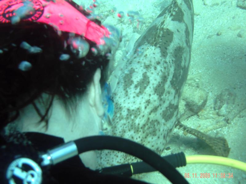 jill and a friendly grouper