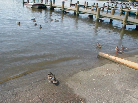 Chesapeake Bay 