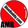 DiveBuddy Ambassadors Logo