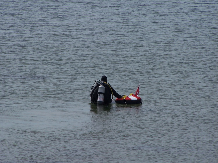 Out For A Dive At Stage Fort Park