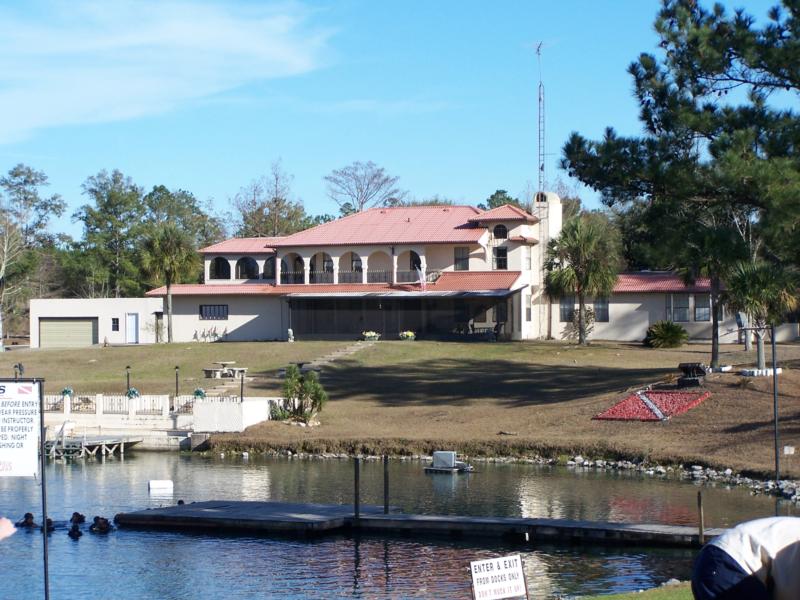 Check Out Dives At Vortex Springs