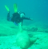 Riding a marble shark