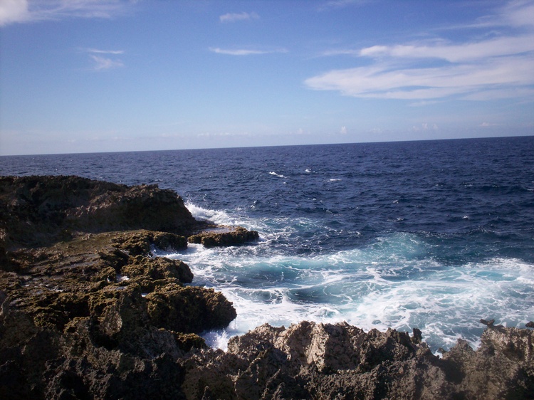 Bonaire coast