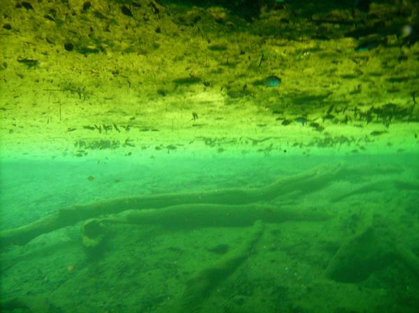 The surface of Catfish Sink