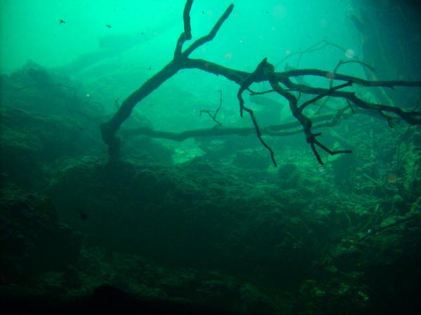 View from the bottom - Catfish Sink