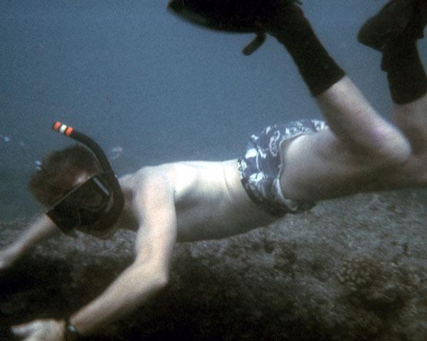 UW at Heron Island, Great Barrier Reef; 1975!