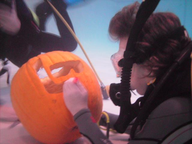 Dive Shop Pumpkin Carving