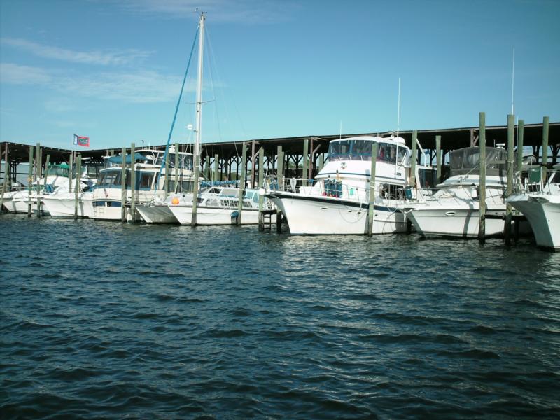 Leaving Peter’s marina, Crystal River Fl.