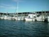 Leaving Peter’s marina, Crystal River Fl.