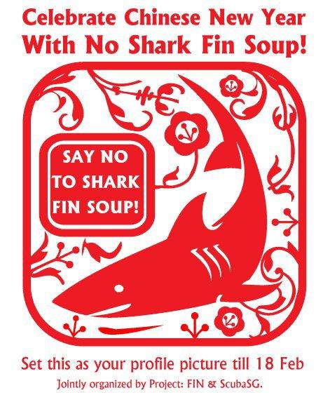 NO SHARK FIN SOUP