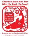 NO SHARK FIN SOUP