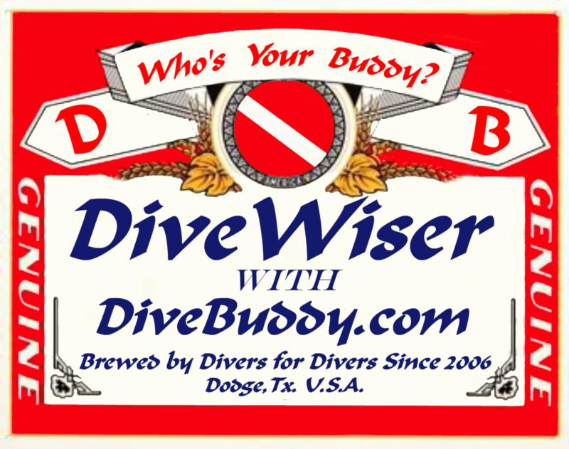 New DiveBuddy Divewiser logo 2010