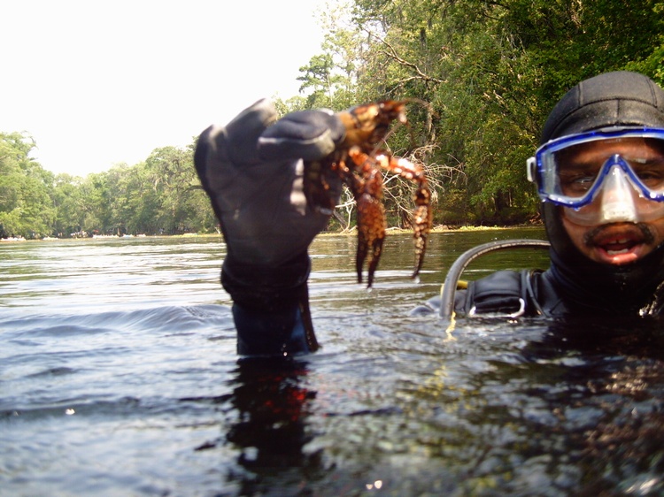 Water Creatures 