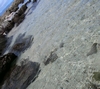 Accidental pic of Shark`s Cove entry point...
