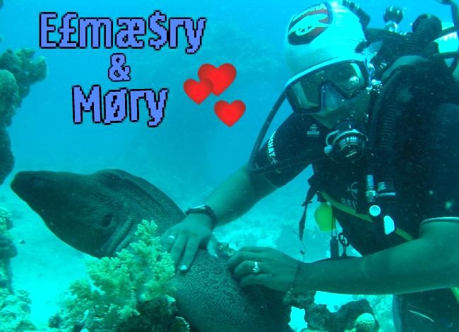 MORY Redsea ,, Egypt