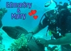 MORY Redsea ,, Egypt