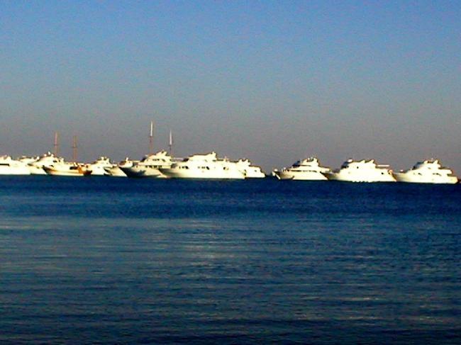 REDSEA , EGYPT