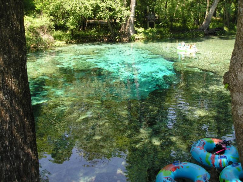 ginnie springs