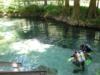 ginnie springs