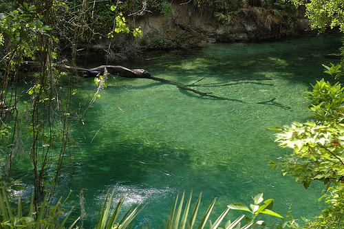 BLUE SPRINGS 