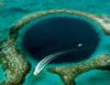 Blue Hole Belize