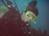 Diving in Dominica