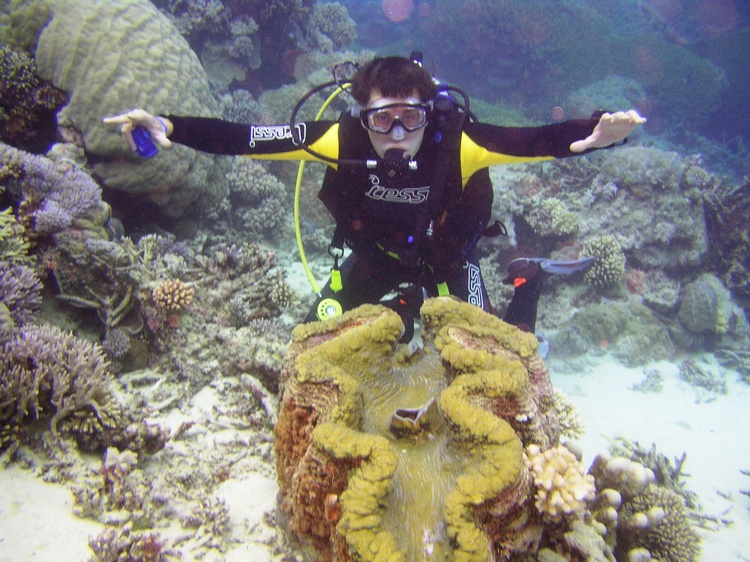 Studying Sea Creatures, Great Barrier Reef, Australia