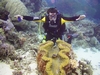 Studying Sea Creatures, Great Barrier Reef, Australia