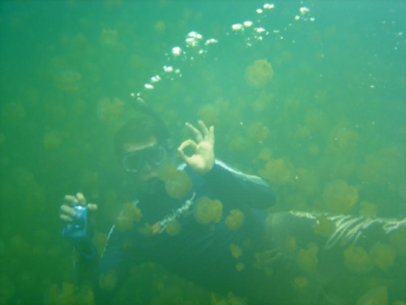 Snorkelling at Jellyfish Lake, Palau 