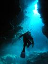 in the caves of Osprey Reef, Coral Sea, Australia