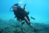 Diving at Mala Ramp in Maui