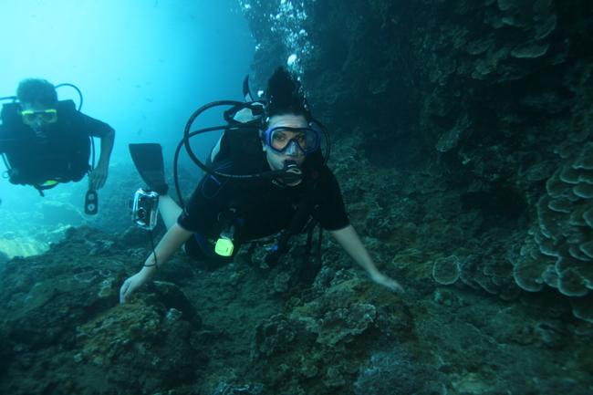 Diving along the wall at Black Rock in Maui