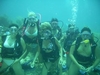 roatan dive