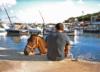 Horse - The Mgarr Harbour (Gozo 2006)