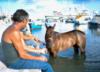 Horse - The Mgarr Harbour (Gozo 2006)