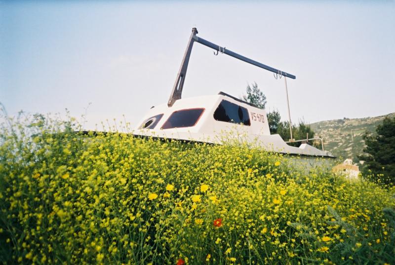 Flowers & Boat