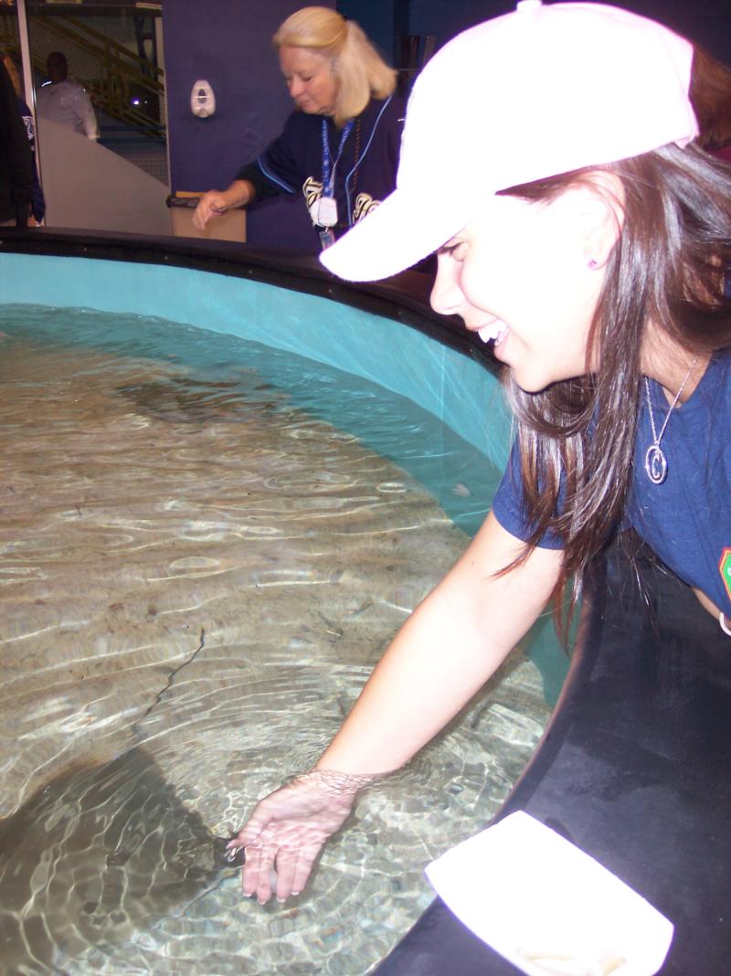 Feeding the rays!