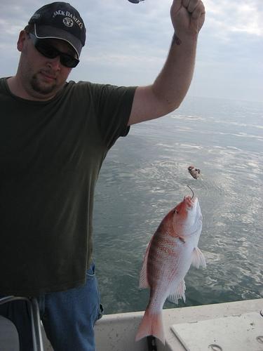 Surface fishing in the gulf