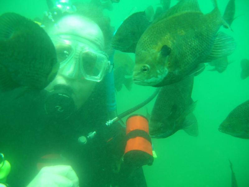 Haigh Quarry bluegills