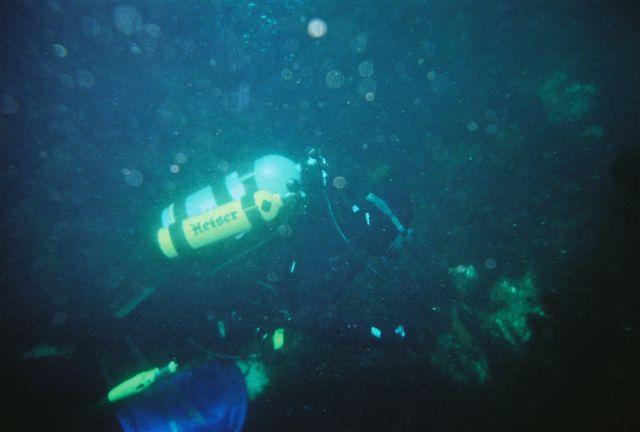 HP130 & Poney on night dive