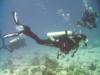 Diving Columbia Reef