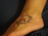 Juvenile Drum Fish Tattoo - Added by Flag