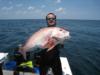 Snapper